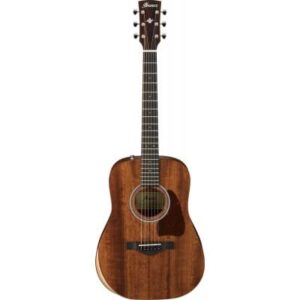 Ibanez AW54JR-OPN-OPEN PORE NATURAL ARTWOOD - RECONDITIONNE